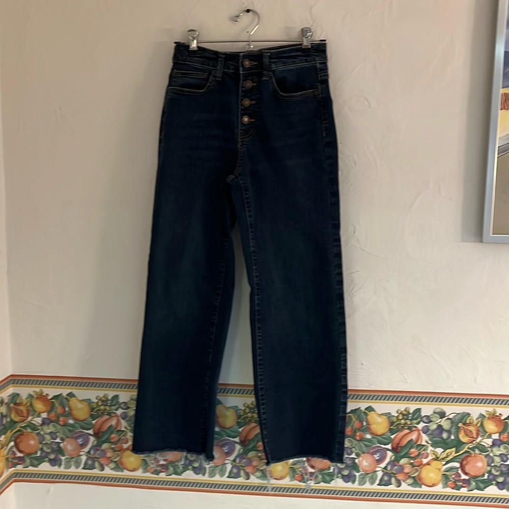 Goodthreads High Rise Button Fly Wide Leg Jeans, Size 24/0, Dark Blue Denim